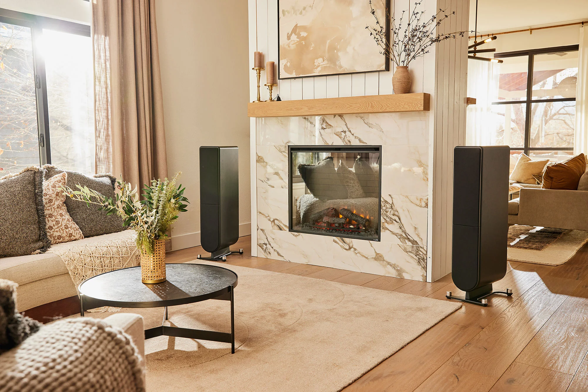 Aspen FR10 Loudspeaker - Image 3